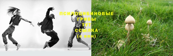 круглые Алексеевка